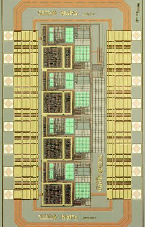 cnm/bioplumesys1-tiny.jpg